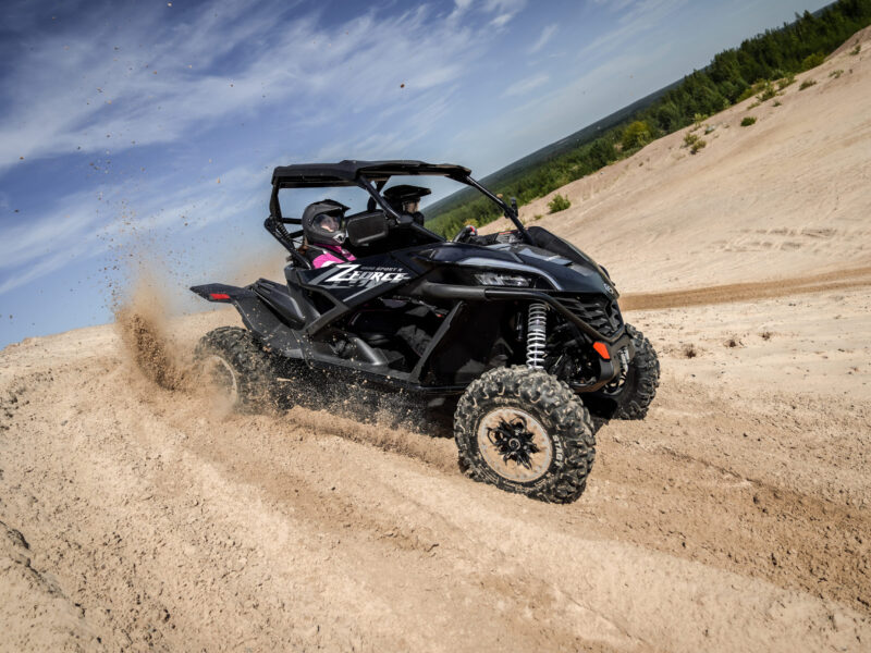 Какой багги купить: эти три модели точно не разочаруют