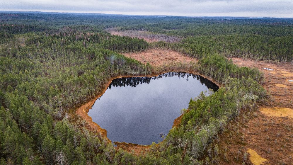 Незабываемое приключение по Карелии с ATVARMOR CLUB Незабываемое приключение по Карелии с ATVARMOR CLUB