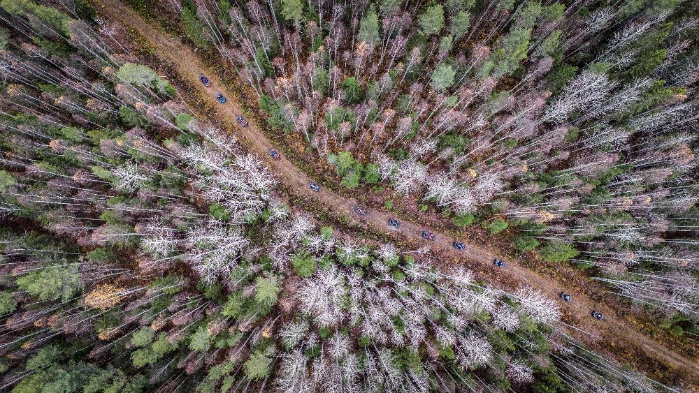 Незабываемое приключение по Карелии с ATVARMOR CLUB Незабываемое приключение по Карелии с ATVARMOR CLUB