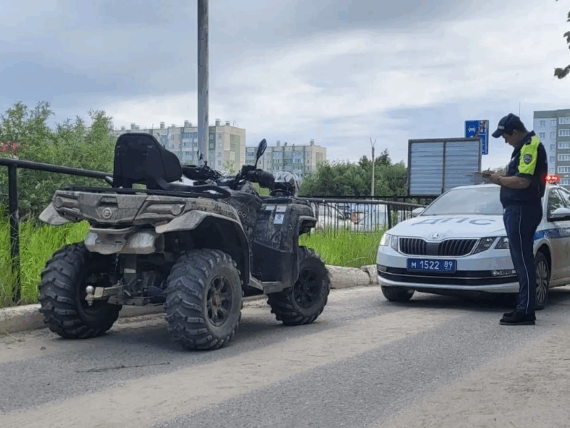Штрафы, изъятие и уголовное дело: что будет, если купить квадроцикл у серого дилера